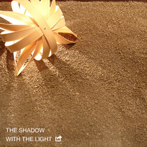 THE SHADOW WITH THE LIGHT